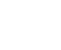 Hidden Mickey